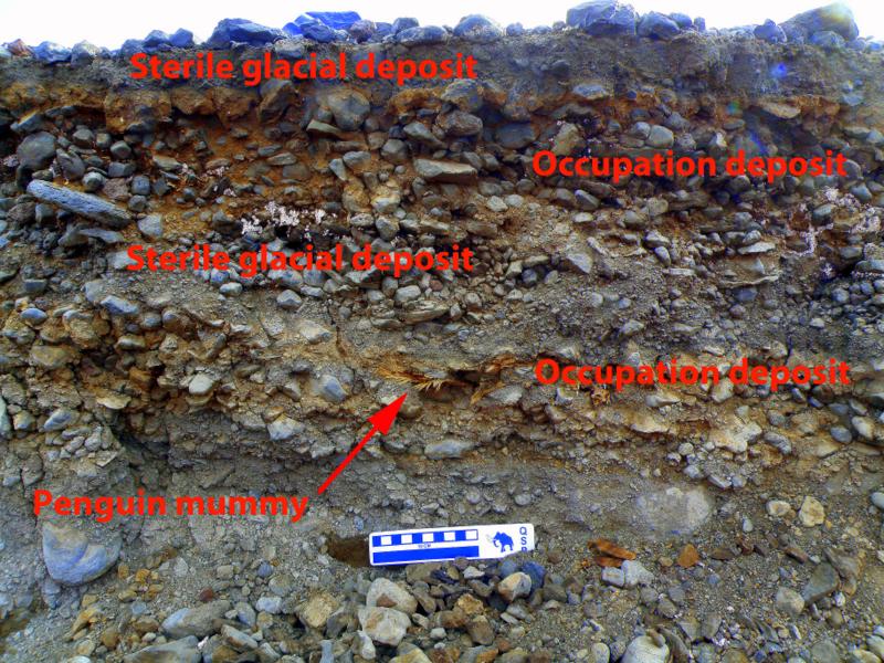 alluvial profile from Cape Bird