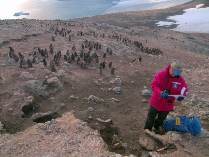 Steve at Cape Crozier Site 1