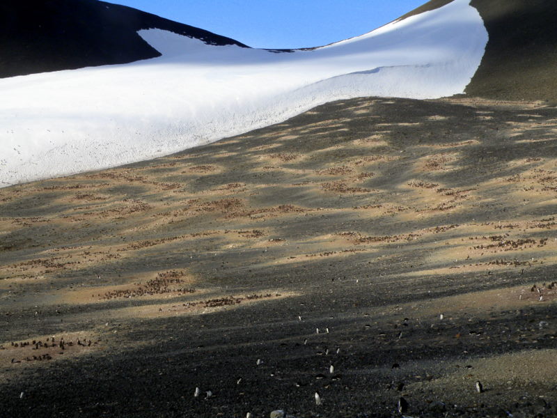 center of main colony at Cape Crozier