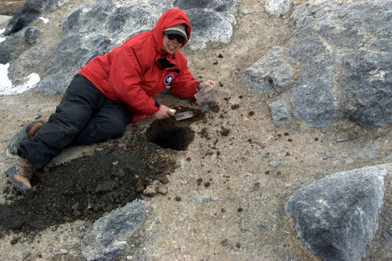 Liu digs sediments