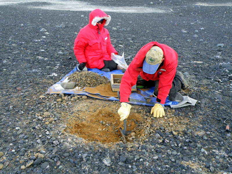 McDonald Beach site