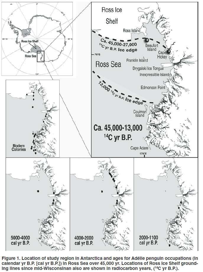 Ross Sea occupation map